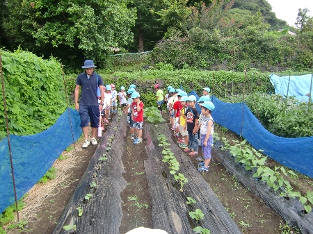 野菜作り農園